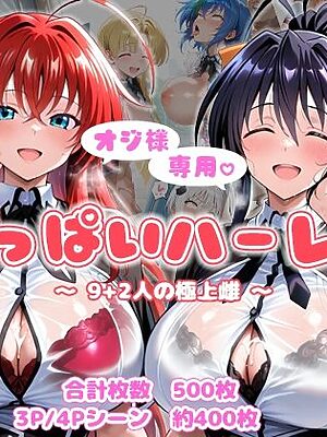 オジ様専用 おっぱいハーレム  〜9＋2人の極上雌〜【AID_oll】