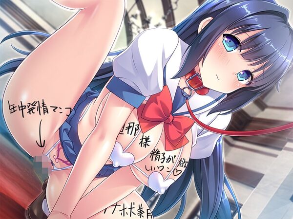 動画版大和撫子なお嬢様が妊活のために超都合のいい孕ませオナホ嫁として嫁いできた! 画像3