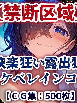 【禁断区域】ドスケベレインコート・・・セックスフリー痴女だらけの街で・・・【CG集500枚】【ぷりずむコメット】