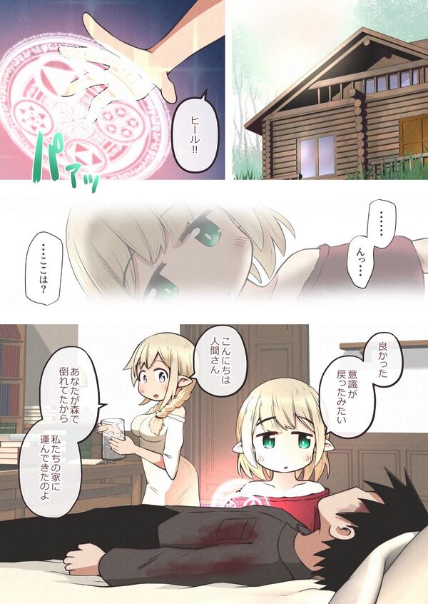 エルフの姉妹に助けられた冒険者が性奴●にされるお話 画像2