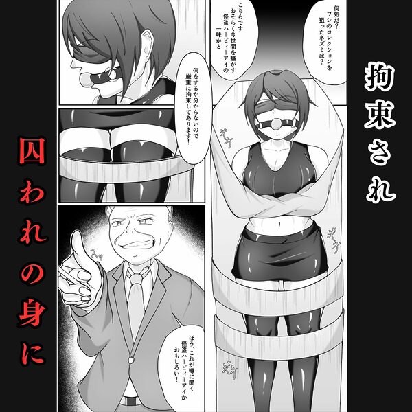 囚われの女怪盗〜侵入に失敗し拘束調教され闇オークションに堕ちる 画像5