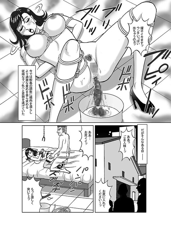 女捜査官 肛虐蟻地獄(後) 美贄彷徨編 画像2