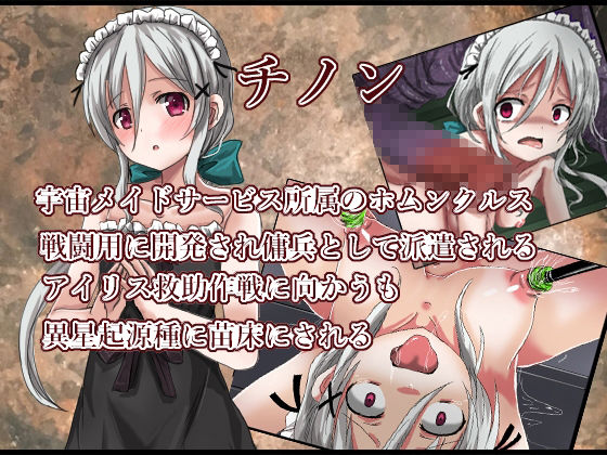 子宮脱苗床研究船 画像1