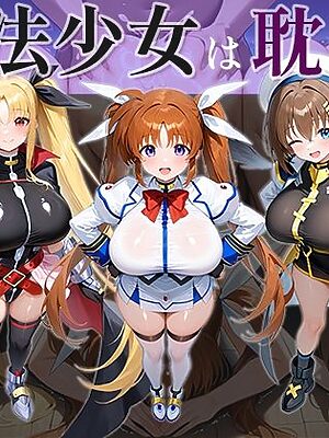 魔法少女は耽りゆく【AID_oll】