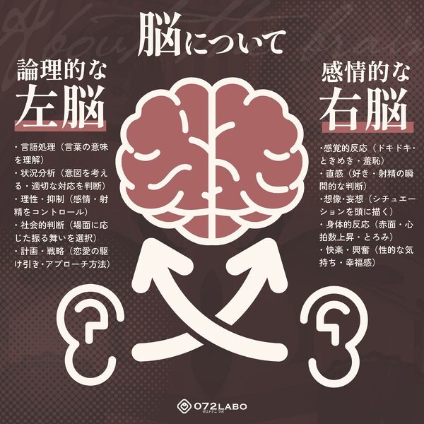 【脳バグ】命令の右耳とドスケベ本心が聞こえる左耳「右耳左耳右脳左脳」〜とても厳しい射精管理官★低音ボイスお姉さんの本音〜【射精管理官の本音】 画像3