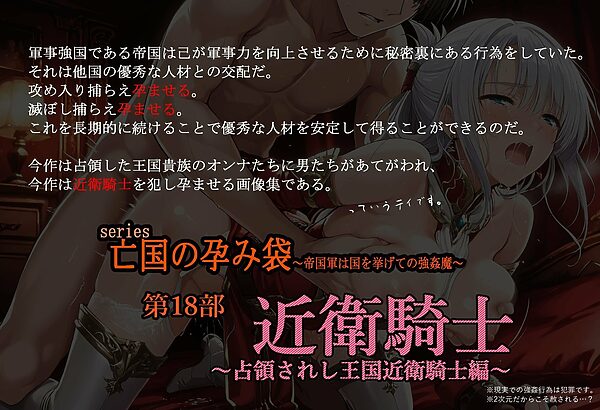 ［亡国の孕み袋］ 〜帝国軍は国を挙げての強●魔〜   第18部 占領されし王国 近衛騎士編 画像1