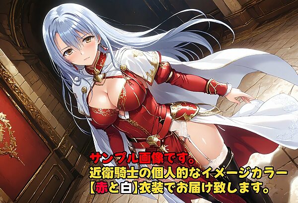 ［亡国の孕み袋］ 〜帝国軍は国を挙げての強●魔〜   第18部 占領されし王国 近衛騎士編 画像2