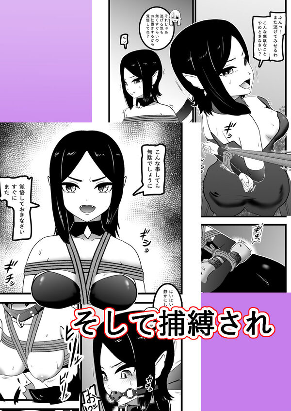 ヴァンパレイド9 〜吸血鬼 三姉妹 脱走編〜 画像3