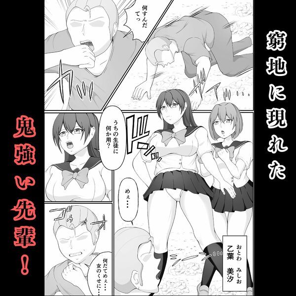 JK敗北〜元空手部の鬼強い先輩が、拉致された後輩をかばって為す術なくヤられる話 画像2