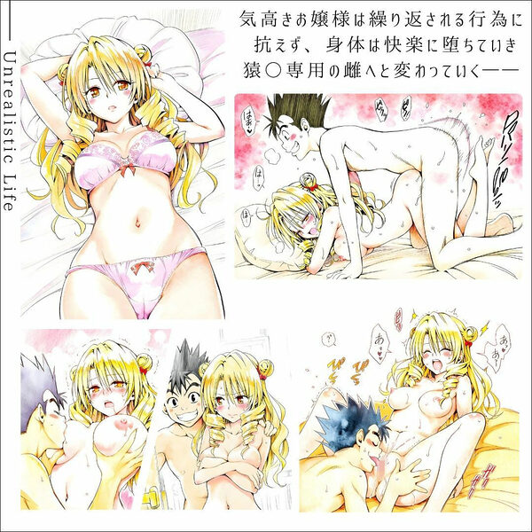 高慢令嬢、格下男子に抱かれて 快楽に堕ちたお嬢様の末路 天条院沙○ 画像1