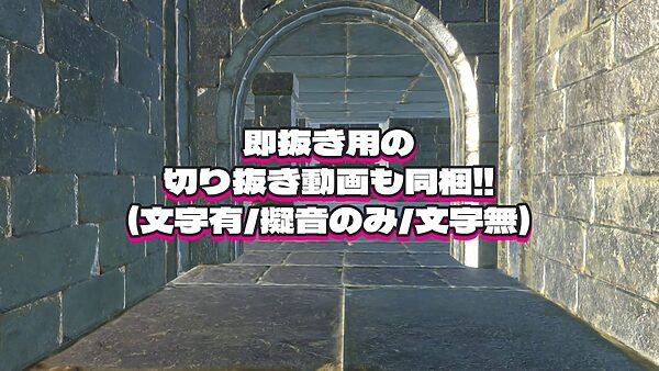 女戦士アイラの淫らなダンジョン 画像10