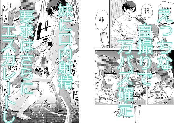 妹じゃない! 画像3