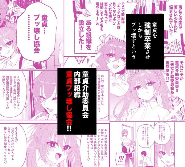 わたくしたち、「童貞介助委員会」内部組織「童貞ブッ壊し協会」の者ですが… 画像3
