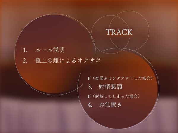 ［密着］ごめんなさいで出しましょうか（はーと）名前も知らないお姉さん達の惨めな射精我慢オナニーサポート 画像2