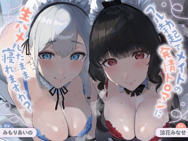 【ALL無声音】フル勃起でメイドの発情トロマンに生ハメしたまま寝れますか?【スローセックス/ずっと生ハメ】 画像1