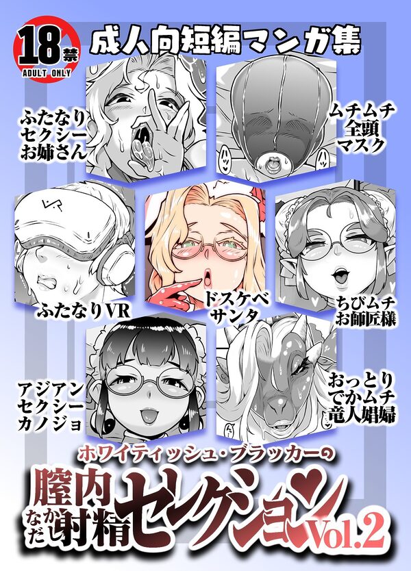 膣内射精セレクションVol2 画像1