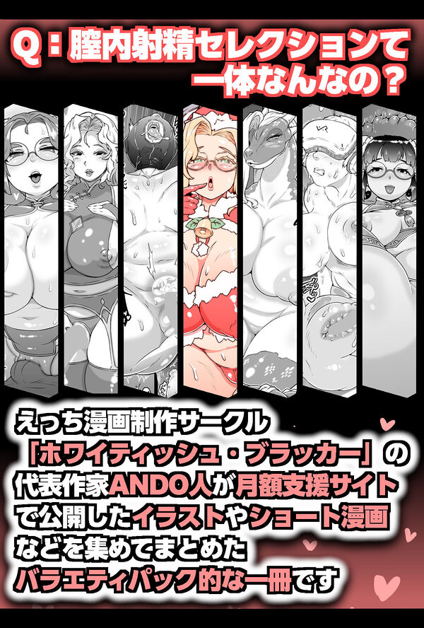 膣内射精セレクションVol2 画像2