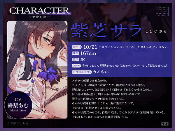 【密着フォーリーサウンド/ドスケベ事後差分イラスト】JK密着ハーレム〜長乳おっぱい一匹狼JK&ムッチリ猫かぶりJKでおちんぽ争奪戦〜【KU100】 画像3