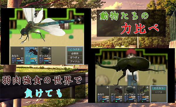 ヨリドコロ ー男系女子との夏の思い出。ー 画像7