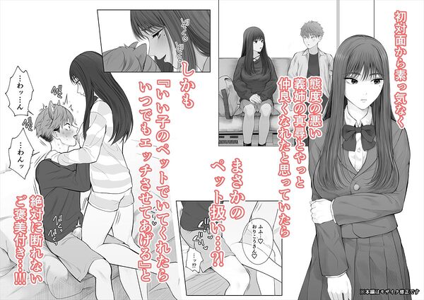 姉犬-義姉は家族でえっちなご主人様- 画像2