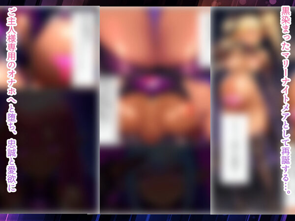 華聖麗姫スイートフラワーズ 3 〜淫涜の二人・淫欲にまみれた堕ちゆく麗姫〜 画像8