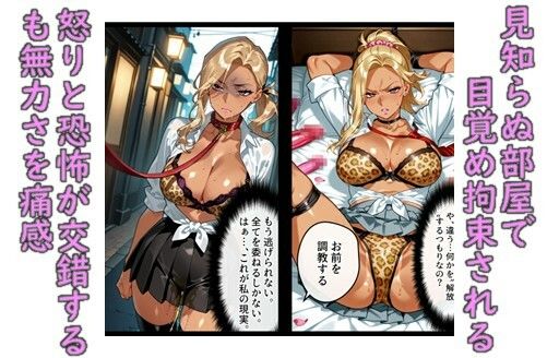 堕ち妻飼育 肉便器堕ちして飼育されていくギャル変装社長夫人 画像3