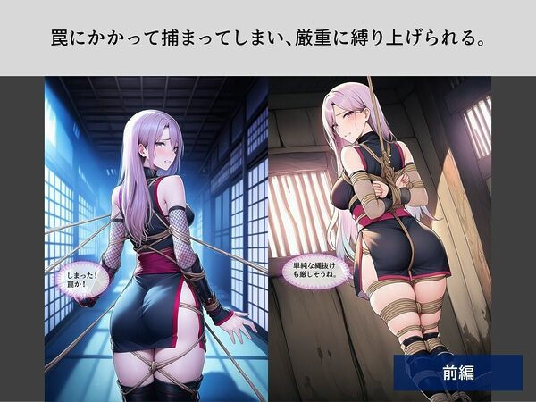 TheDID〜潜入失敗 画像2