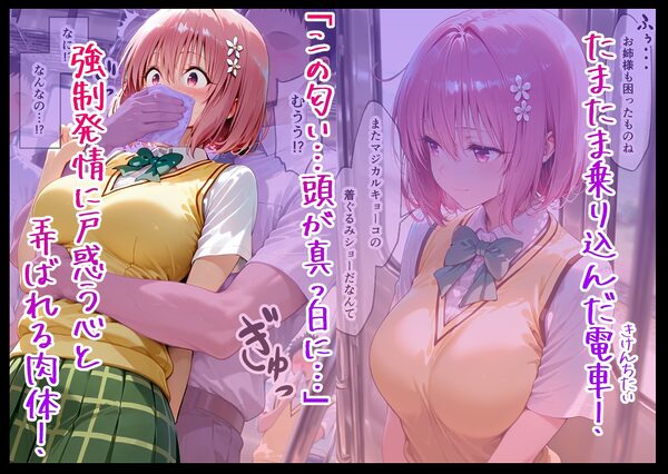 電車痴○堕ち 皆んな見てるなのに降りられない 各駅無視の快楽電車 前と後ろから責められて モ〇編 画像1