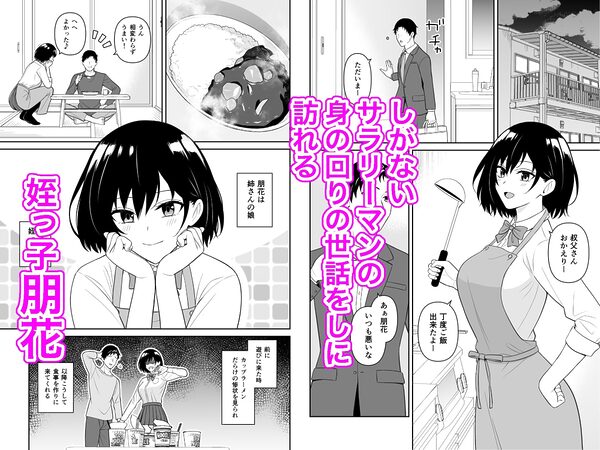 お世話したがりな姪っ子が叔父さんの性処理をする話 画像1