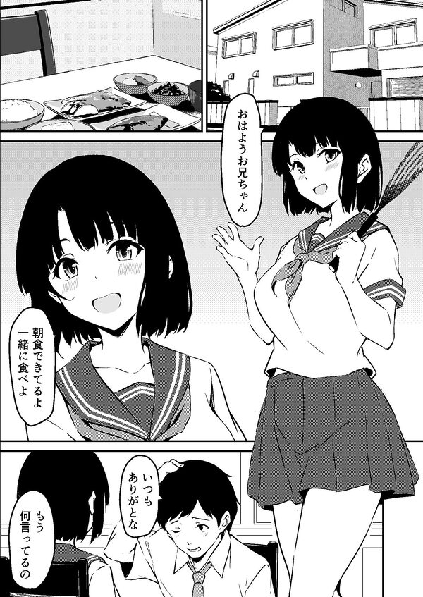 最愛の妹がNTRれたお話 画像1