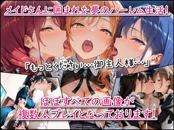 メイドハーレム「ご主人様、ご奉仕の時間です」 画像1