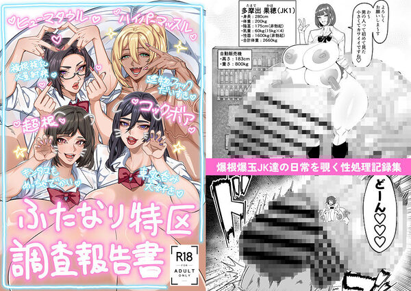 ふたなり特区調査報告書 画像1