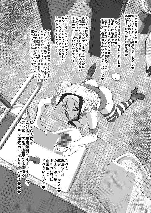 艦シーメール鹿島（♂）ケツオナ＊公衆便所 画像3