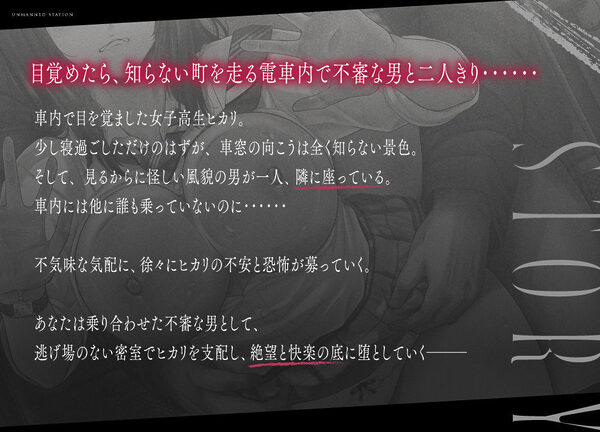 【無人駅ASMR】痴●×中出しレ●プ〜おとなしい巨乳少女を誰もいない電車内で凌●〜 画像2
