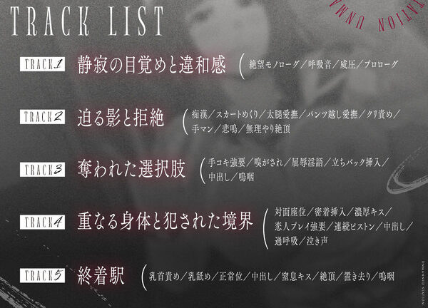 【無人駅ASMR】痴●×中出しレ●プ〜おとなしい巨乳少女を誰もいない電車内で凌●〜 画像3