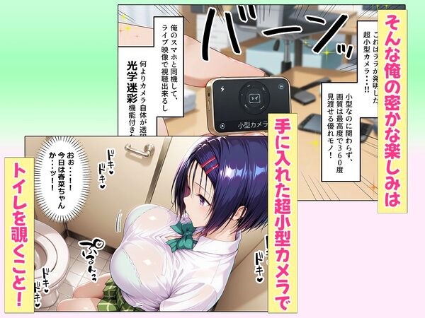 大人の玩具を注文したらまさかの同級生が届けにきた件  西連寺春奈 画像2