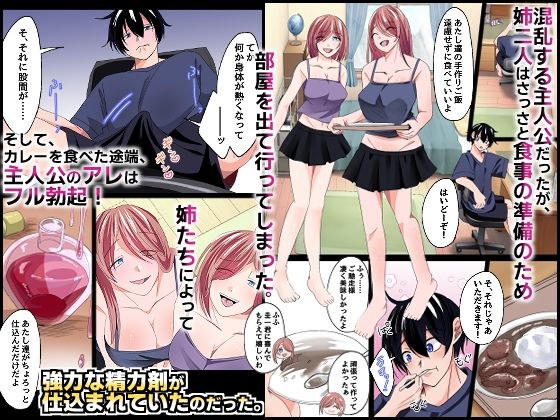 『特別ご奉仕価格』ブラコンのお姉ちゃんたちと。双子の姉たちが大事に取っておいた処女を貰って欲しいと誘惑してくる最高の夏休み! 画像2