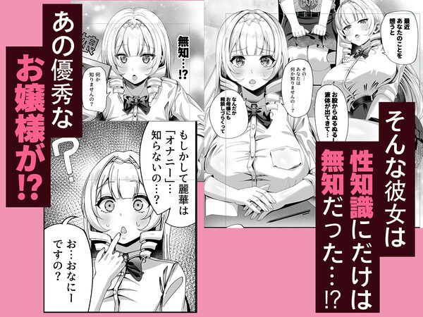 性知識にだけ無知すぎるお嬢様 画像2