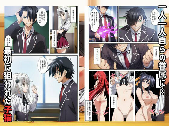 ハーレムハイスクールD×D!もしリアスの眷属が俺のものになったら 画像2