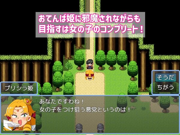 バトルに勝ったら即エッチ〜バトルファックRPG〜 画像4