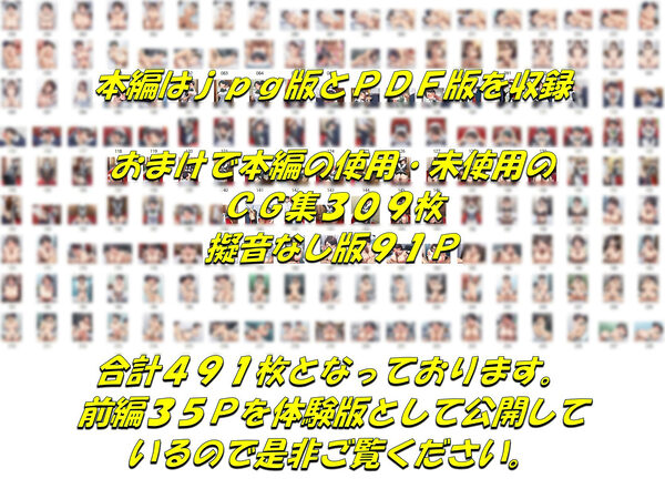 メイドで童貞卒業するよう言われたので昔から好きだった行き遅れ処女メイド長を寵愛して孕ませる話 画像10