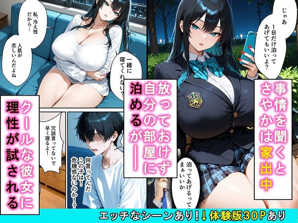 家出したクールなギャルを拾ったらベタ惚れされてイチャラブセックスした話 画像2