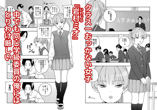 カムフラージュ 画像1