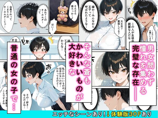 女の子扱いされたい王子様な生徒会長があまあま中出しセックスでメスになる話 画像2