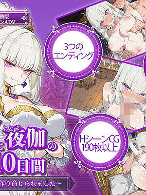 ツンデレ姫と夜伽の10日間 〜異世界で子作り命じられました〜【電脳ヒロインズ】