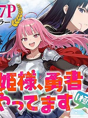 姫様、勇者やってます（極秘）【みーとぱい】