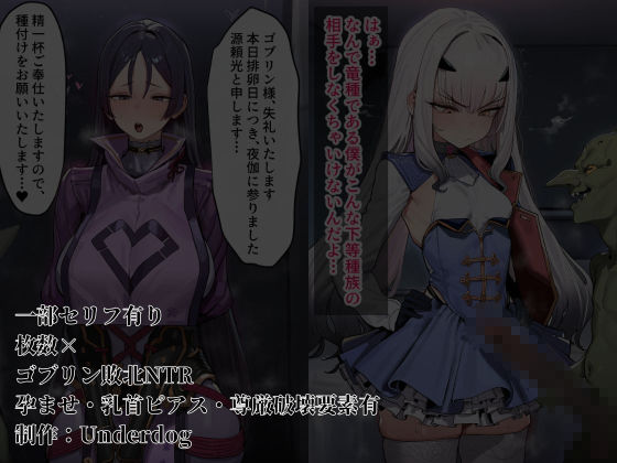 ゴブリンに堕ちたカルデア 画像4