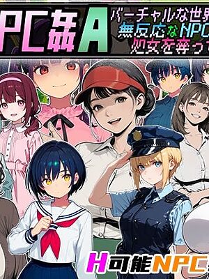 Let’s NPC姦A バーチャルな世界で無反応なNPCたちの処女を奪ってヤリまくる！【超弐次元要塞アイダホ】